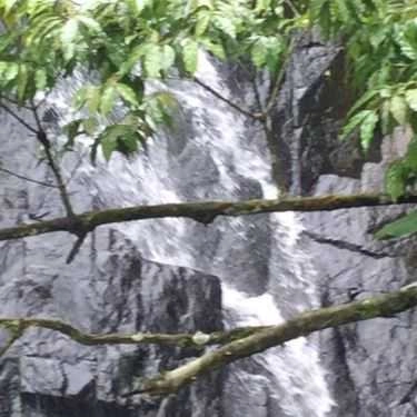 Tổng hợp- Quán Ăn Không Gian Quán - Đặc Sản Vùng