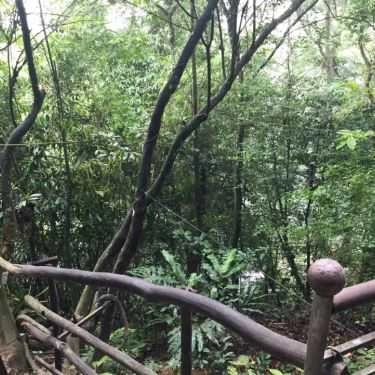 Tổng hợp- Quán Ăn Không Gian Quán - Đặc Sản Vùng