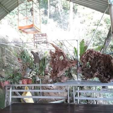 Tổng hợp- Quán Ăn Không Gian Quán - Đặc Sản Vùng