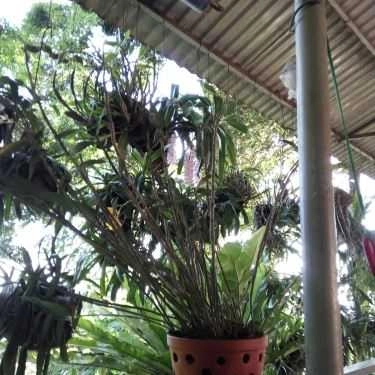Tổng hợp- Quán Ăn Không Gian Quán - Đặc Sản Vùng