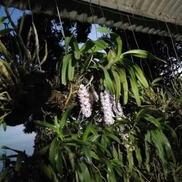 Tổng hợp- Quán Ăn Không Gian Quán - Đặc Sản Vùng