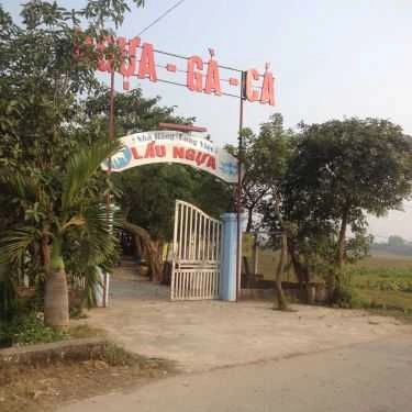 Tổng hợp- Nhà Hàng Long Việt - Lẩu Ngựa Tây Bắc
