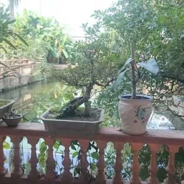 Tổng hợp- Quán Ăn Liên Hoa - Cơm, Phở & Lẩu