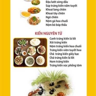 Thực đơn- Nhà Hàng Kiến Nguyên Tử - Đặc Sản Theo Mùa