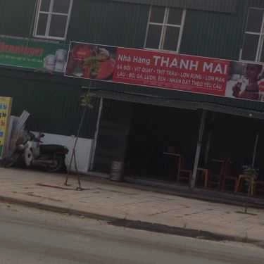 Tổng hợp- Quán Ăn Thanh Mai - Gà Đồi & Vịt Quay