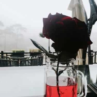 Tổng hợp- Rock Cafe Tam Đảo