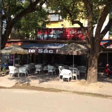 Tổng hợp- Sắc Màu Cafe