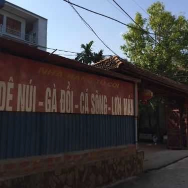 Tổng hợp- Quán Ăn Tú Còi - Đặc Sản Đồi Núi