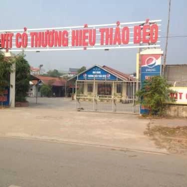 Tổng hợp- Quán Ăn Vịt Cỏ Thảo Béo