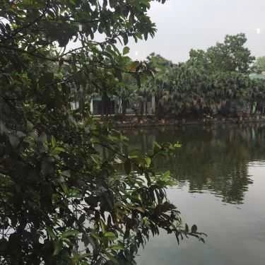 Không gian- Nhà Hàng Vườn Ổi - Thịt Trâu Bản & Tổ Chức Sự Kiện