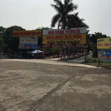 Không gian- Nhà Hàng Vườn Ổi - Thịt Trâu Bản & Tổ Chức Sự Kiện
