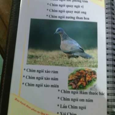 Tổng hợp- Nhà Hàng Hạnh Điệp - Ẩm Thực Vùng Miền