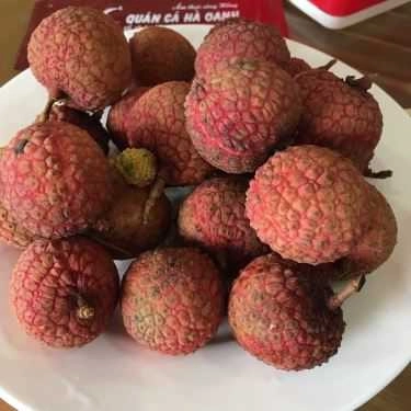 Món ăn- Quán Ăn Quán Cá Hà Oanh