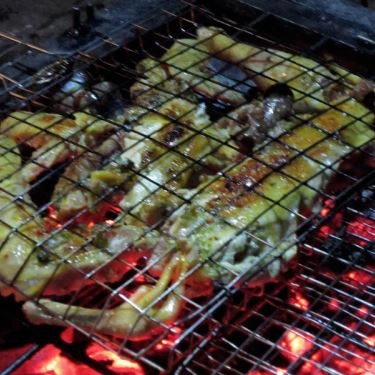 Tổng hợp- Quán Ăn Chim Đồng Quán - Ẩm Thực Đồng Quê