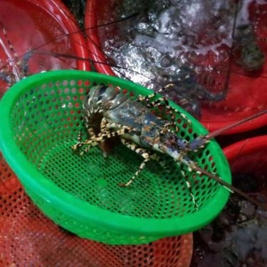 Tổng hợp- Quán Ăn Thanh Hiền - Hải Sản Tự Chọn