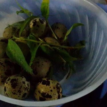 Món ăn- Quán Ăn Quán Ốc Cay SVLC - Trần Huy Liệu