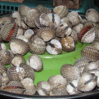 Món ăn- Quán Ăn Quán Bé Ốc - Hải Sản Tươi Sống