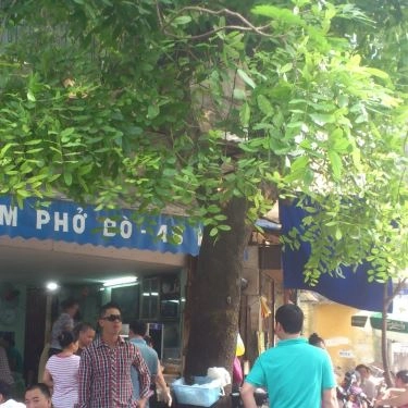 Tổng hợp- Quán Ăn Phở Bò Lâm
