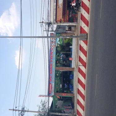 Tổng hợp- Quán Ăn Ốc Sinh Viên 3 - Lê Trọng Tấn