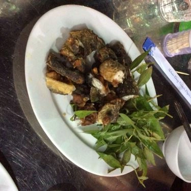 Món ăn- Quán Ăn Quán Phúc 2 - Đặc Sản Đồng Quê & Bò Tơ Củ Chi