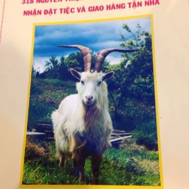 Tổng hợp- Quán Ăn Lẩu Dê Hưng Ký