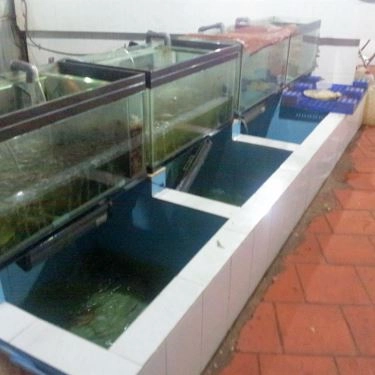 Tổng hợp- Quán Ăn Ốc Tre Một - Ốc & Hải Sản