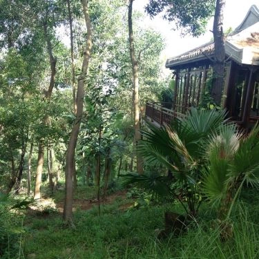 Tổng hợp- Quán Ăn Mekong Rest Stop - Hải Vân