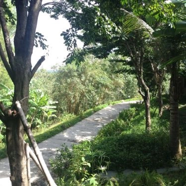 Tổng hợp- Quán Ăn Mekong Rest Stop - Hải Vân