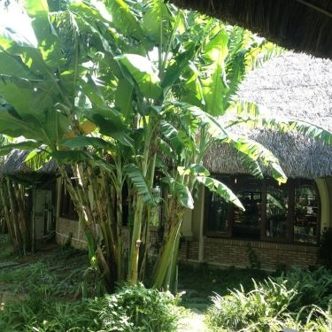 Tổng hợp- Quán Ăn Mekong Rest Stop - Hải Vân