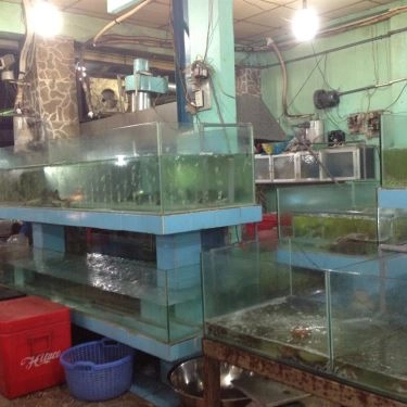 Tổng hợp- Quán Ăn Út Liên 1 - Ốc & Hải Sản