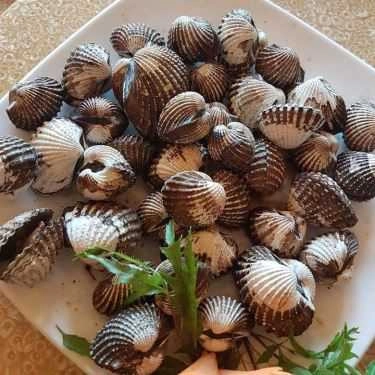Tổng hợp- Nhà Hàng 224 - Hải Sản Các Loại