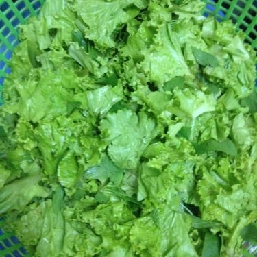 Tổng hợp- Quán Ăn 5 Sao - Hủ Tiếu Gõ