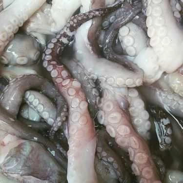 Tổng hợp- Quán Ăn 5K Là Chết Bỏ - Quán Nướng