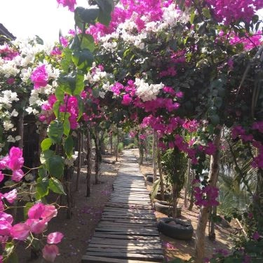 Tổng hợp- 5Ku Farm - Nông Trại & Quán Ăn