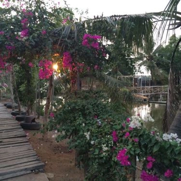 Tổng hợp- 5Ku Farm - Nông Trại & Quán Ăn