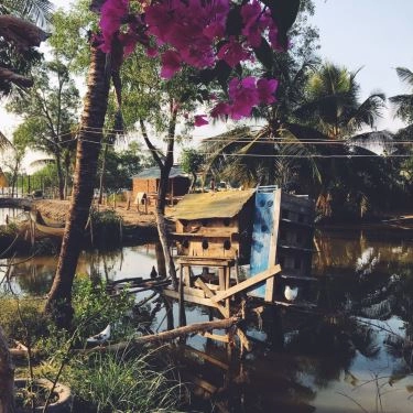 Tổng hợp- 5Ku Farm - Nông Trại & Quán Ăn