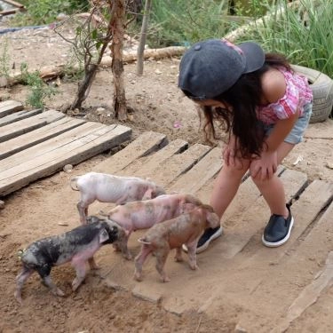Tổng hợp- 5Ku Farm - Nông Trại & Quán Ăn