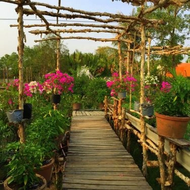 Tổng hợp- 5Ku Farm - Nông Trại & Quán Ăn