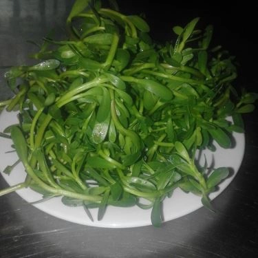 Món ăn- Quán Ăn 9 Tấn - Bánh Canh Cá Lóc