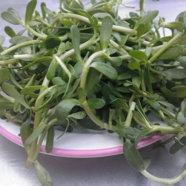 Tổng hợp- Quán Ăn 9 Tấn - Bánh Canh Cá Lóc