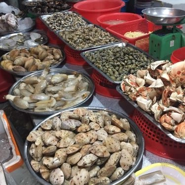 Tổng hợp- Quán Ăn A Bẽo - Hải Sản Tươi Sống