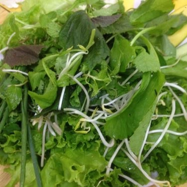 Tổng hợp- Quán Ăn A Hạo - Bánh Tráng Thịt Heo Đại Lộc