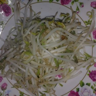Tổng hợp- Quán Ăn A Hào - Cháo Gà & Gỏi Gà