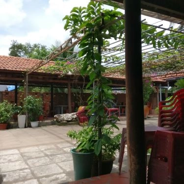 Tổng hợp- Quán Ăn Ái Mỹ Quán