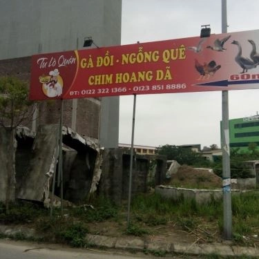 Tổng hợp- Quán Ăn Tư Lò - Chim, Gà Đồi & Ngỗng Quê