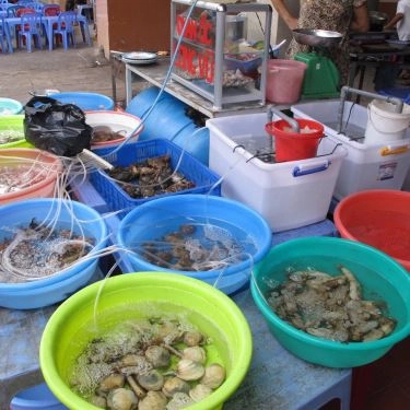 Tổng hợp- Quán Ăn Long Vũ - Quán Ốc & Hải Sản Nha Trang