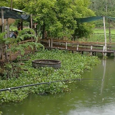 Không gian- Quán Ăn Ngư Trang Quán
