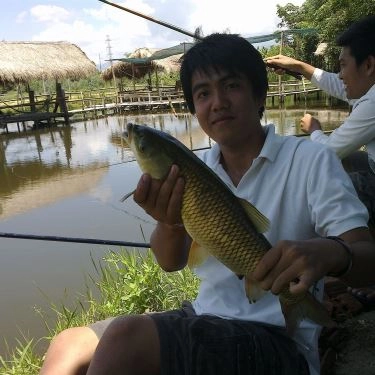 Tổng hợp- Quán Ăn Ngư Trang Quán