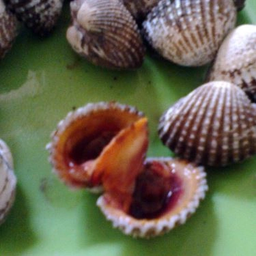 Món ăn- Quán Ăn Ốc Long Hải