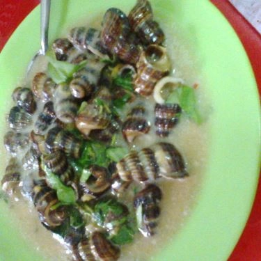 Món ăn- Quán Ăn Ốc Long Hải